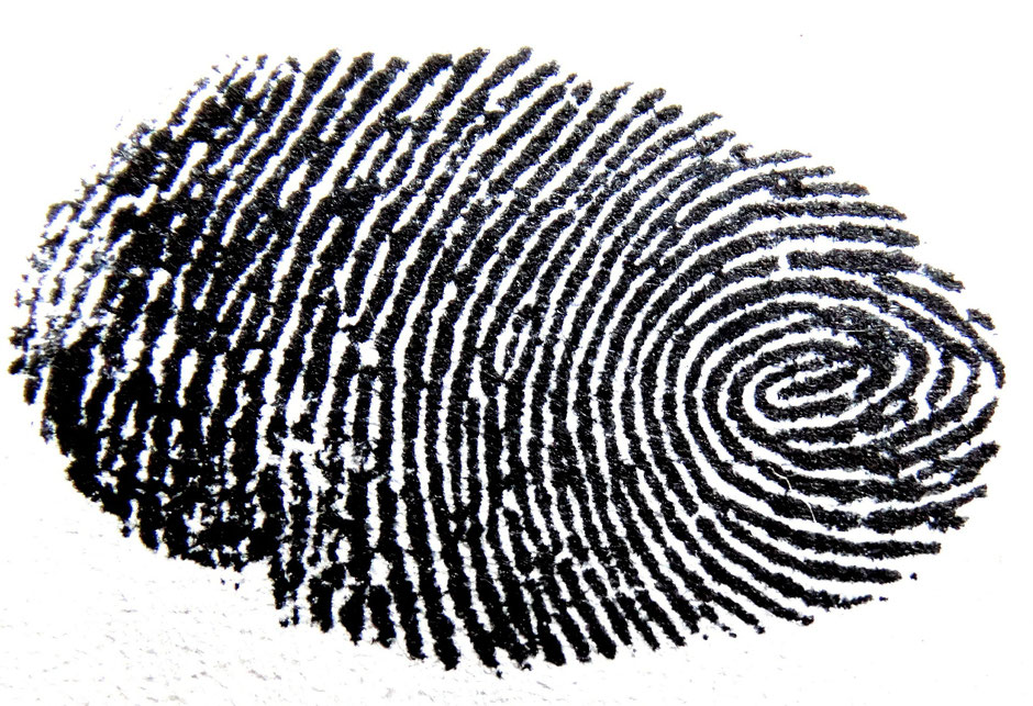Bild eines Fingerabdrucks